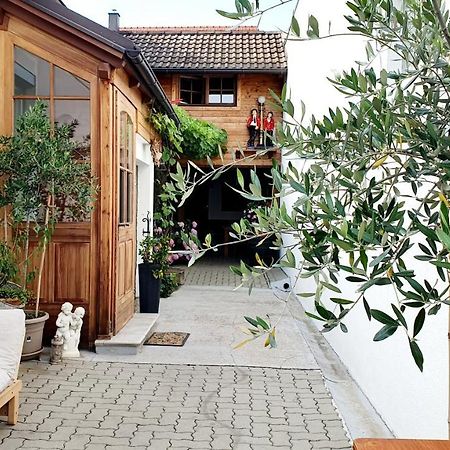 Apartament Casa Zara Mörbisch am See Zewnętrze zdjęcie